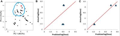 In silico prediction of siRNA ionizable-lipid nanoparticles In vivo efficacy: Machine learning modeling based on formulation and molecular descriptors